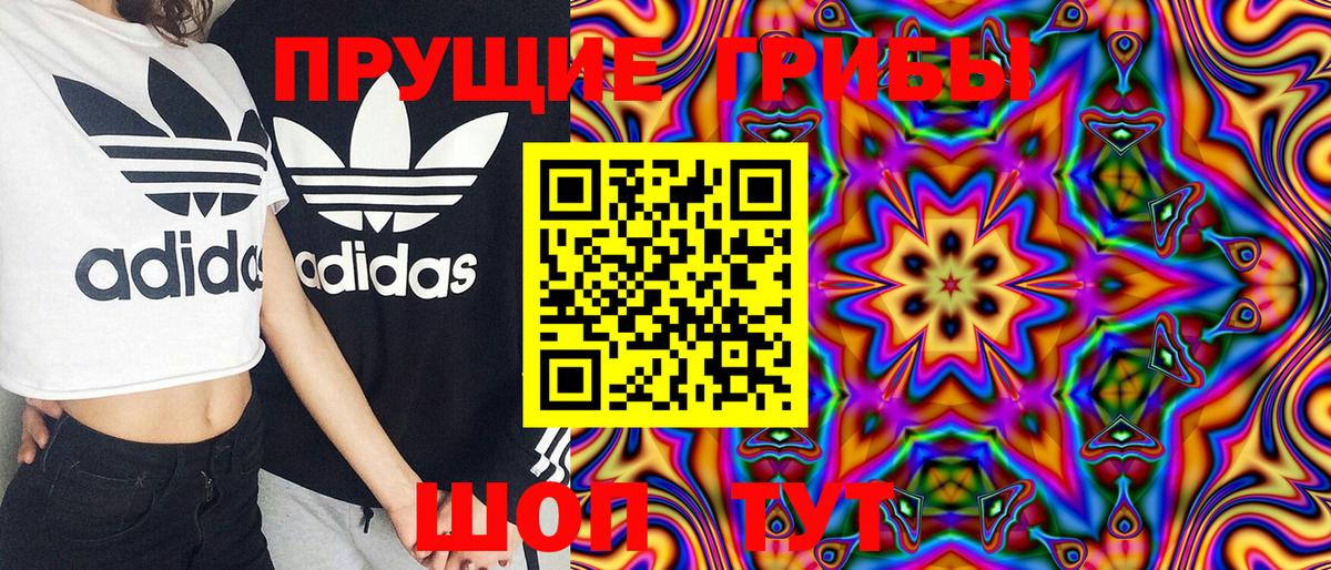 Псилоцибиновые грибы Psilocybine cubensis Гурьевск