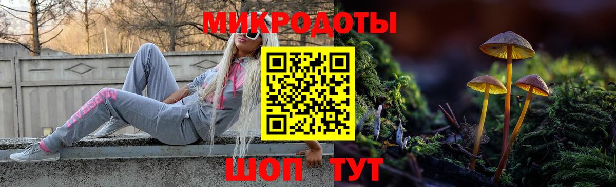 Гурьевск  Галлюциногенные грибы мицелий  Вход с VPN 
