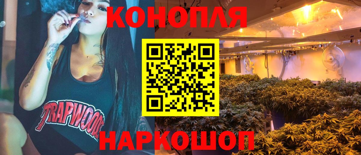 Шишки марихуана планчик  Вход с VPN  Канабис конопля  Конопля ГИДРОПОН  Гурьевск 